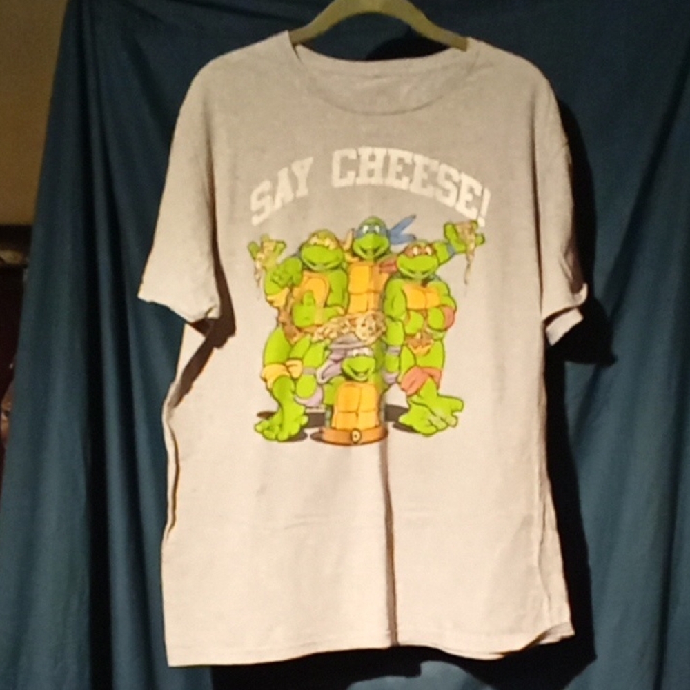 Teenage Mutant Ninja Turtles Gray Short Sleeve Tee with Playful Graphic